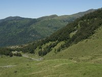 F, Ariege, Aulus les Bains, Col d Agnes 14, Saxifraga-Willem van Kruijsbergen